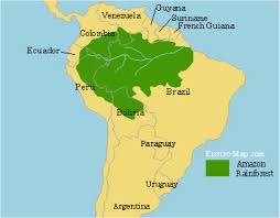 What’s Happening in the Amazon Rainforest Right Now – The Good, The Bad, and The Ugly